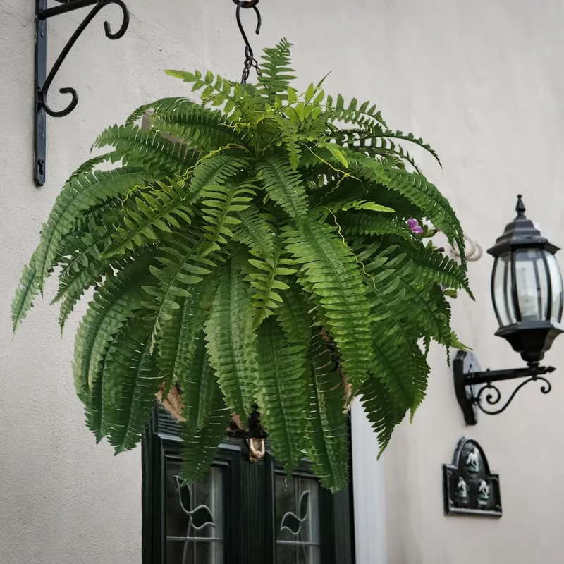 UV-Resistant Lifelike Artificial Boston Fern