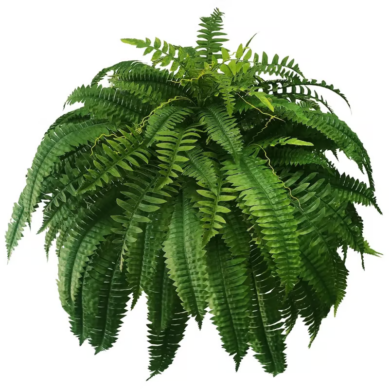 UV-Resistant Lifelike Artificial Boston Fern