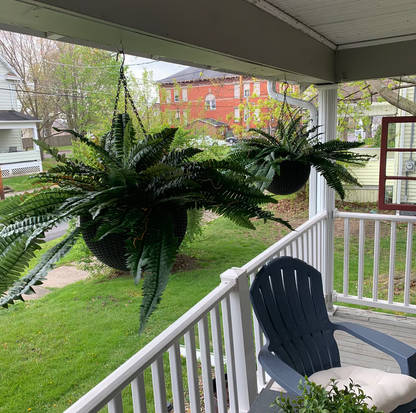 UV-Resistant Lifelike Artificial Boston Fern