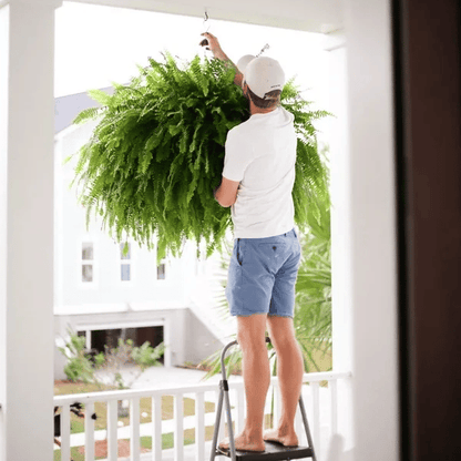 UV-Resistant Lifelike Artificial Boston Fern