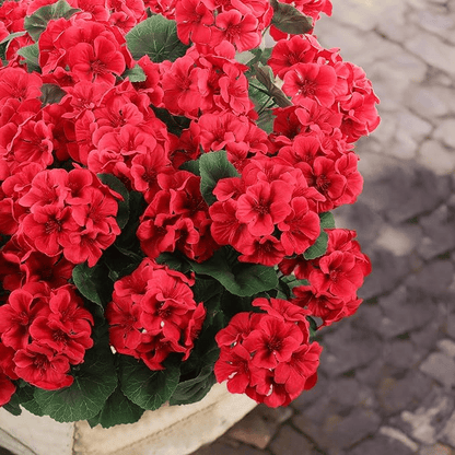 8 bundles of outdoor Artificial Geranium Flowers for Outdoors UV  Resistant Garden Plants Faux Flowers