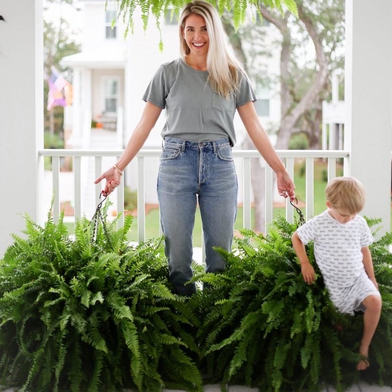 UV-Resistant Lifelike Artificial Boston Fern
